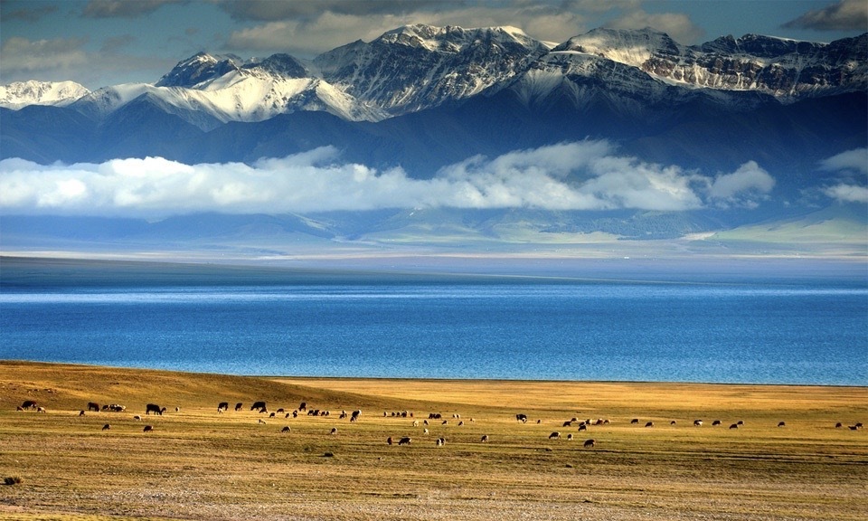 BẮC TÂN CƯƠNG - VÙNG ĐẤT HUYỀN ẢO (TN)